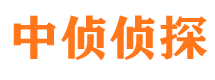 桦甸市私家侦探